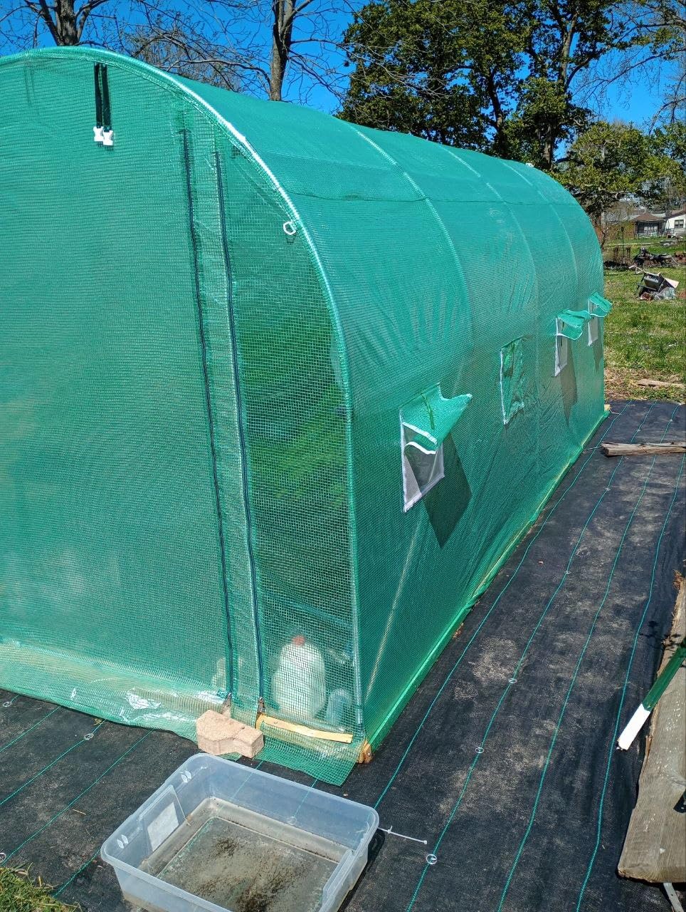 KING BIRD Premium 25x10x6.6FT Greenhouse for Outdoors, Large Walk-in Upgraded Galvanized Metal Frame, Mesh Door Screen Window Improved Zipper Tunnel Hoop for Garden Plant Winter, 2 Stiffeners, White customer photo 1