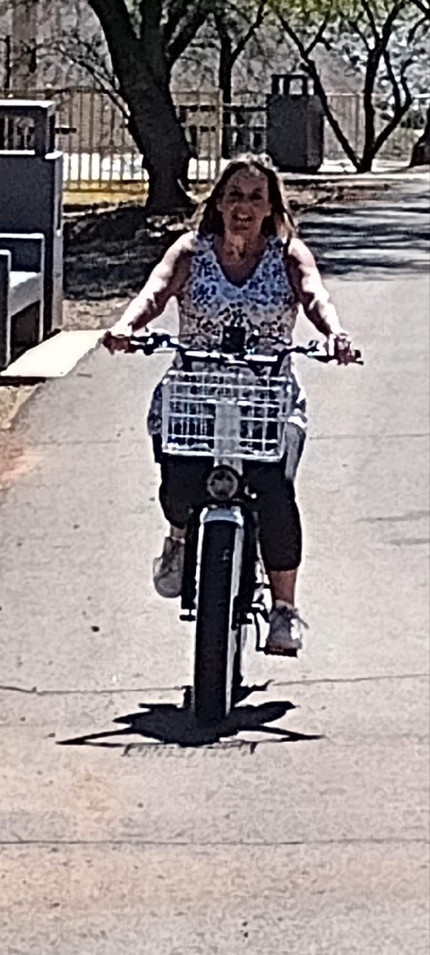Electric Bike for Adults, 20