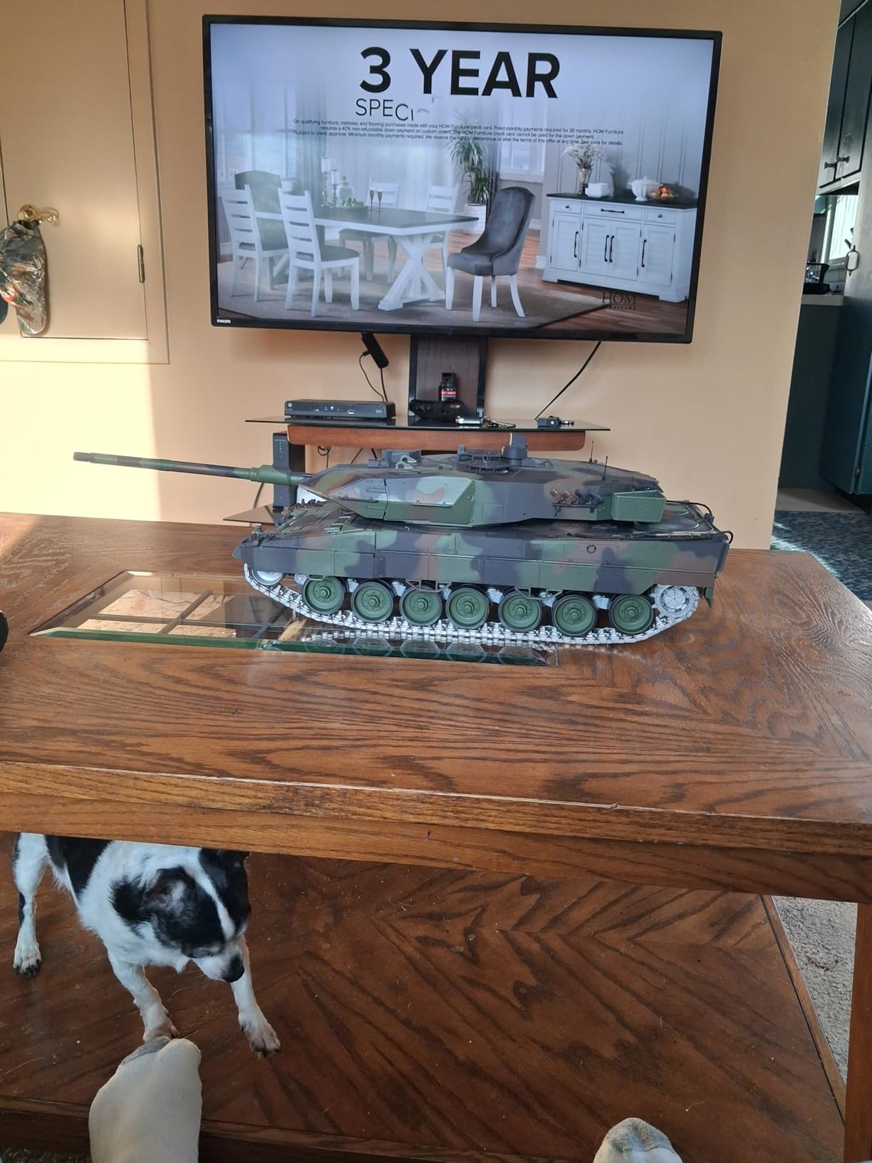 1/16 RC Tank, Heng Long German Leopard 2 A6 RC Battle Army Toy with Smoke, Sound, Light, 2.4G Remote Control Tank That Shoots BBS with Upgraded Metal Tracks, Idler, Sprocket Wheel, Steel Gearbox customer photo 1