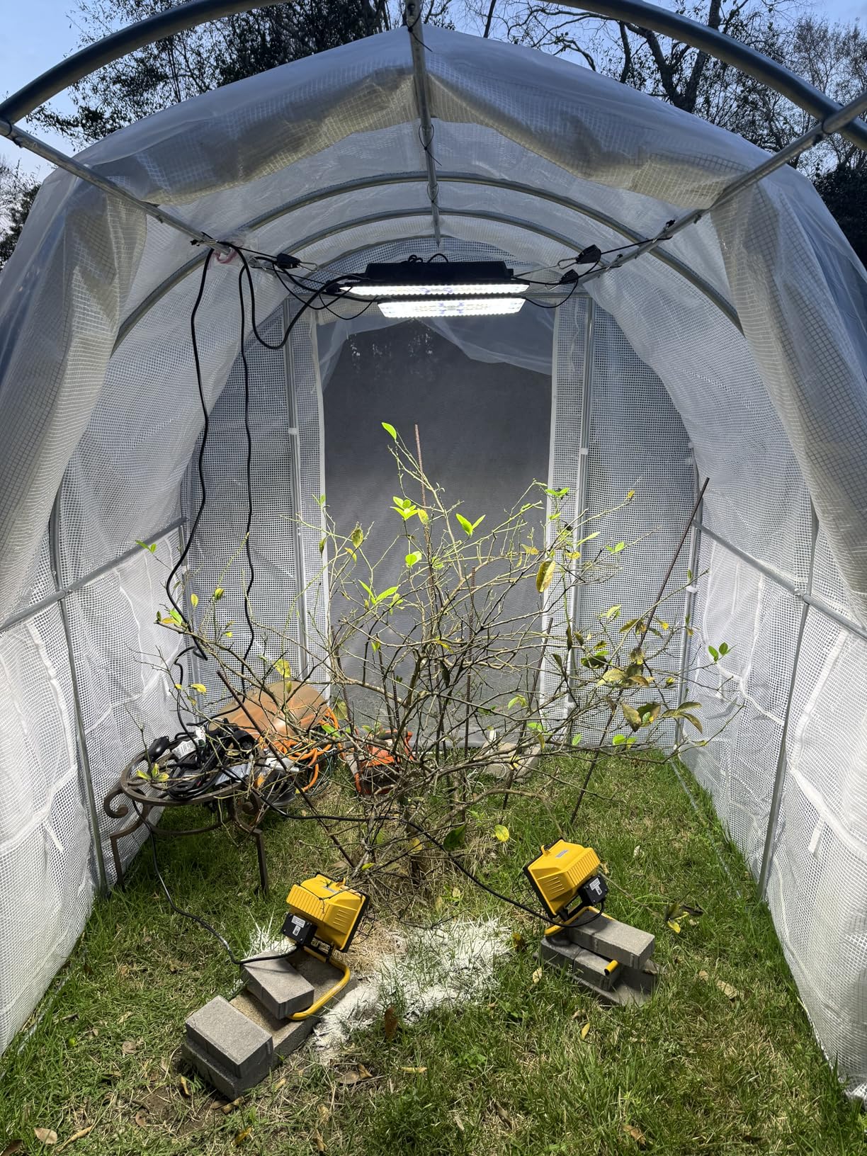 UAP1200 LED Grow Light for Indoor Plants, 120W Plant Lights with Commercial Full Spectrum, Dimmable, High Efficiency, Deeper Penetration Growing Lamps for Seedlings Veg Bloom in 2x2, 3x3 Grow Tent customer photo 1