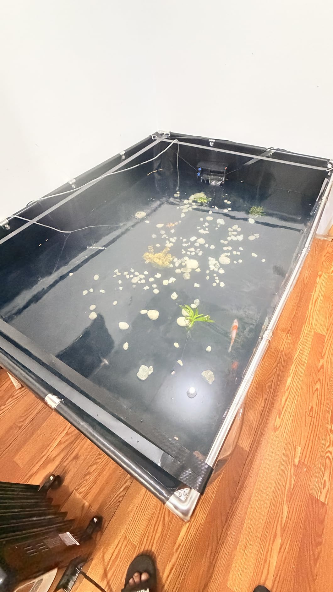 VEVOR KOI Aquarium Tank Above Ground Fish Pond, 450 Gallon Foldable Canvas Fish Pool Pond, Outdoor/Indoor Round No Dig Turtle Goldfish Pond with 304SS Frame and Drain Valve customer photo 2