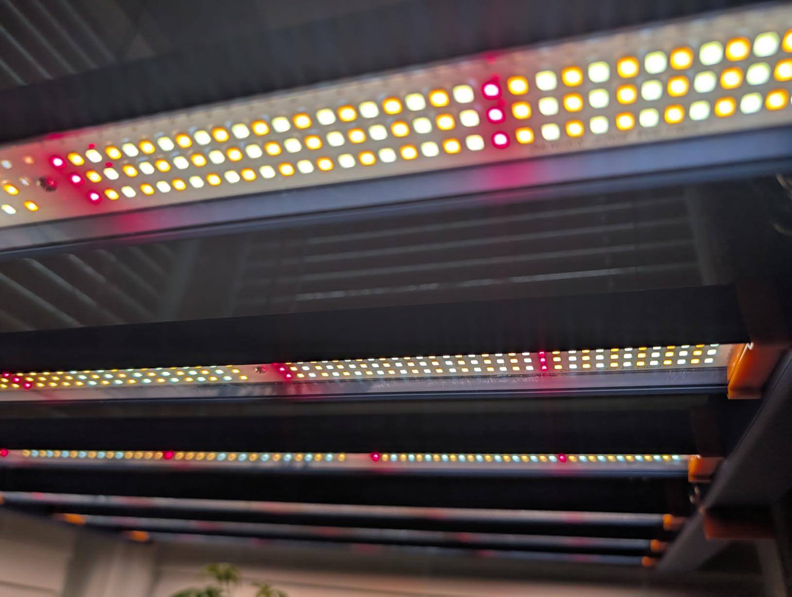 ECOHOM 720W LED Grow Light, Full Spectrum Dimmable Daisy Chain, Pro Bar Style for 5x5ft Grow Tent, Foldable & Hanging Growing Lamp for Indoor Plants Seedlings, Veg and Bloom customer photo 1