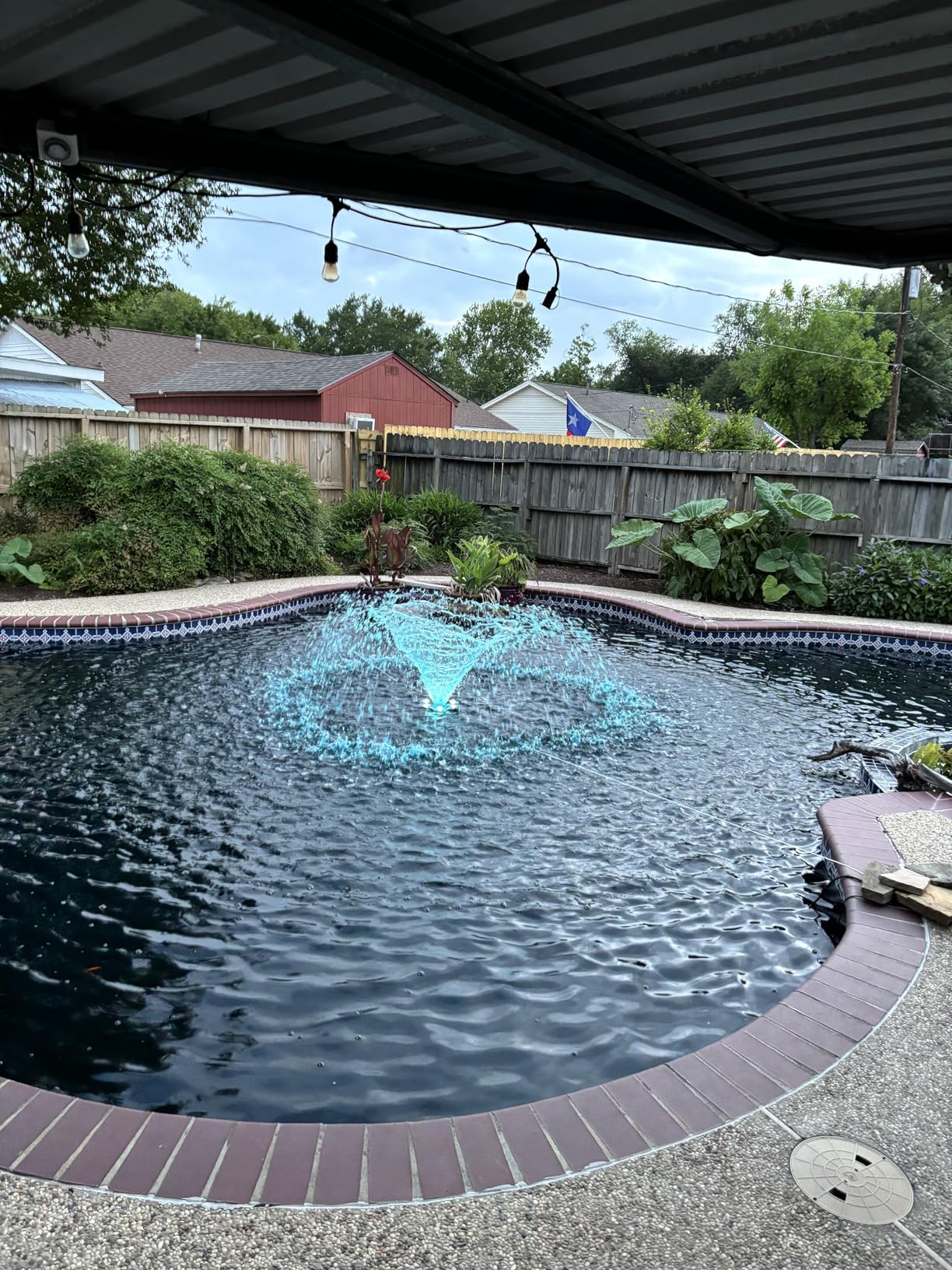 Pond Fountain Aerator, 10000 GPH, 8 White LED Lights, Constant and Gradient Dual Modes, Time Controller, 35' Power Cord, Classic Crown Spray Pattern 4'x10' for Pond, Lake, Swimming Pool & Water Garden customer photo 1