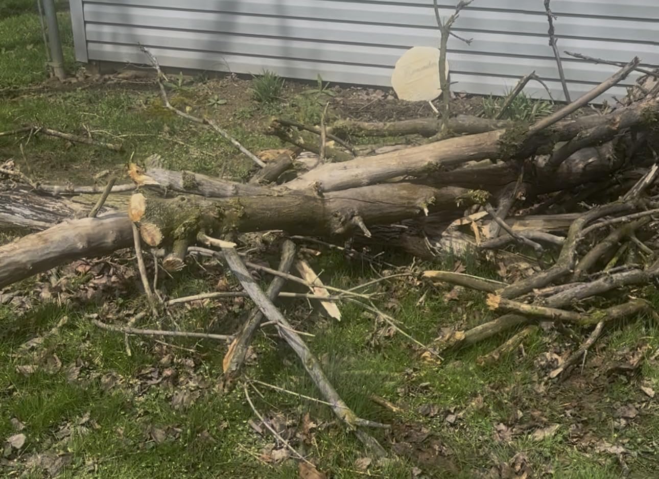 Electric Pole Saws for Tree Trimming, 8 Inch & 6 Inch Mini Chainsaw Cordless with Extension Pole, 16Ft Reach, 2x4.0Ah Battery, Auto Oiling, Tool-Free Chain Tensioning, Tree Trimmer for Branch Limb Cut customer photo 1