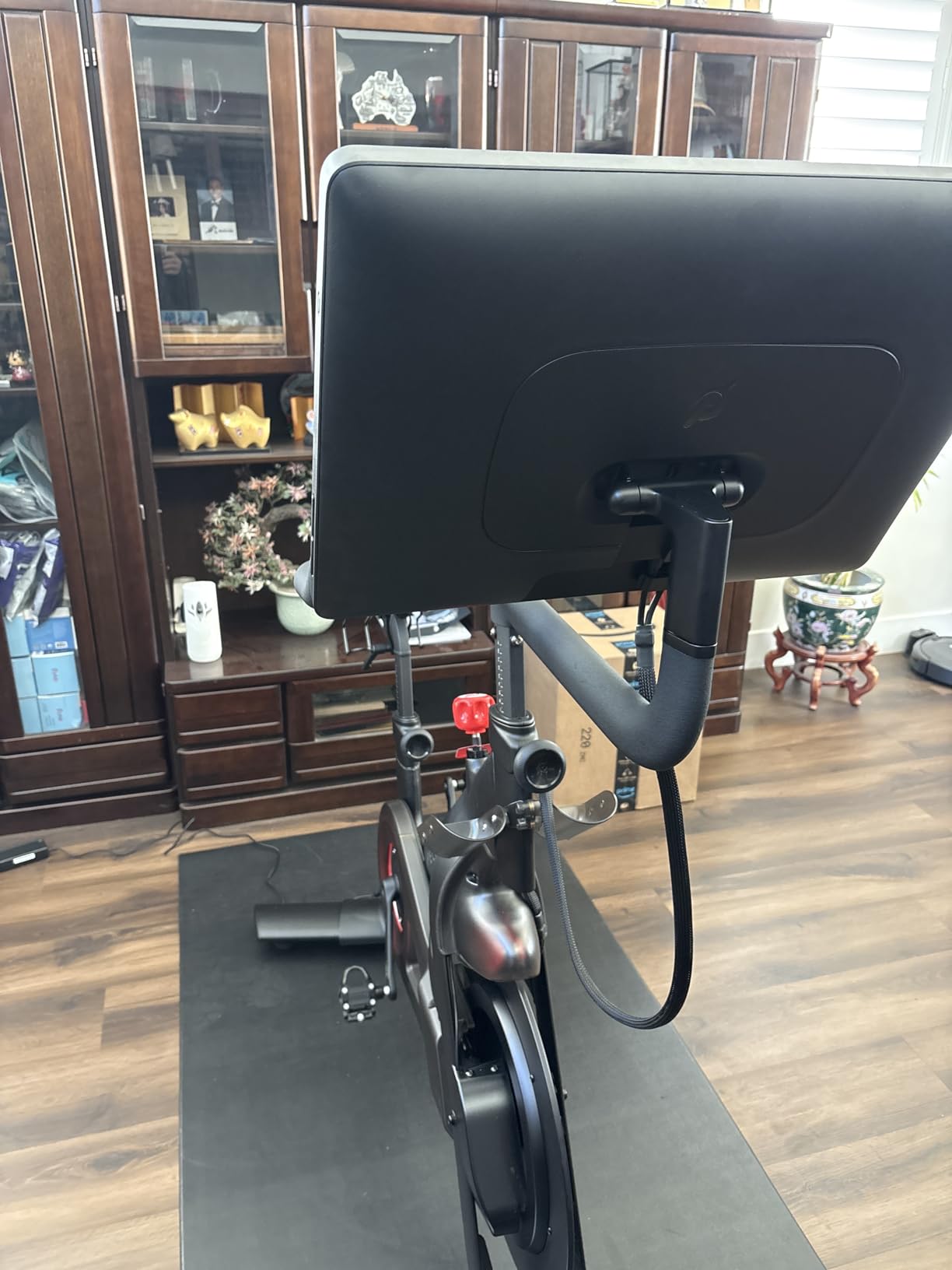 Peloton Bikes, Indoor Exercise bikes for Cardio and Strength Training customer photo 2
