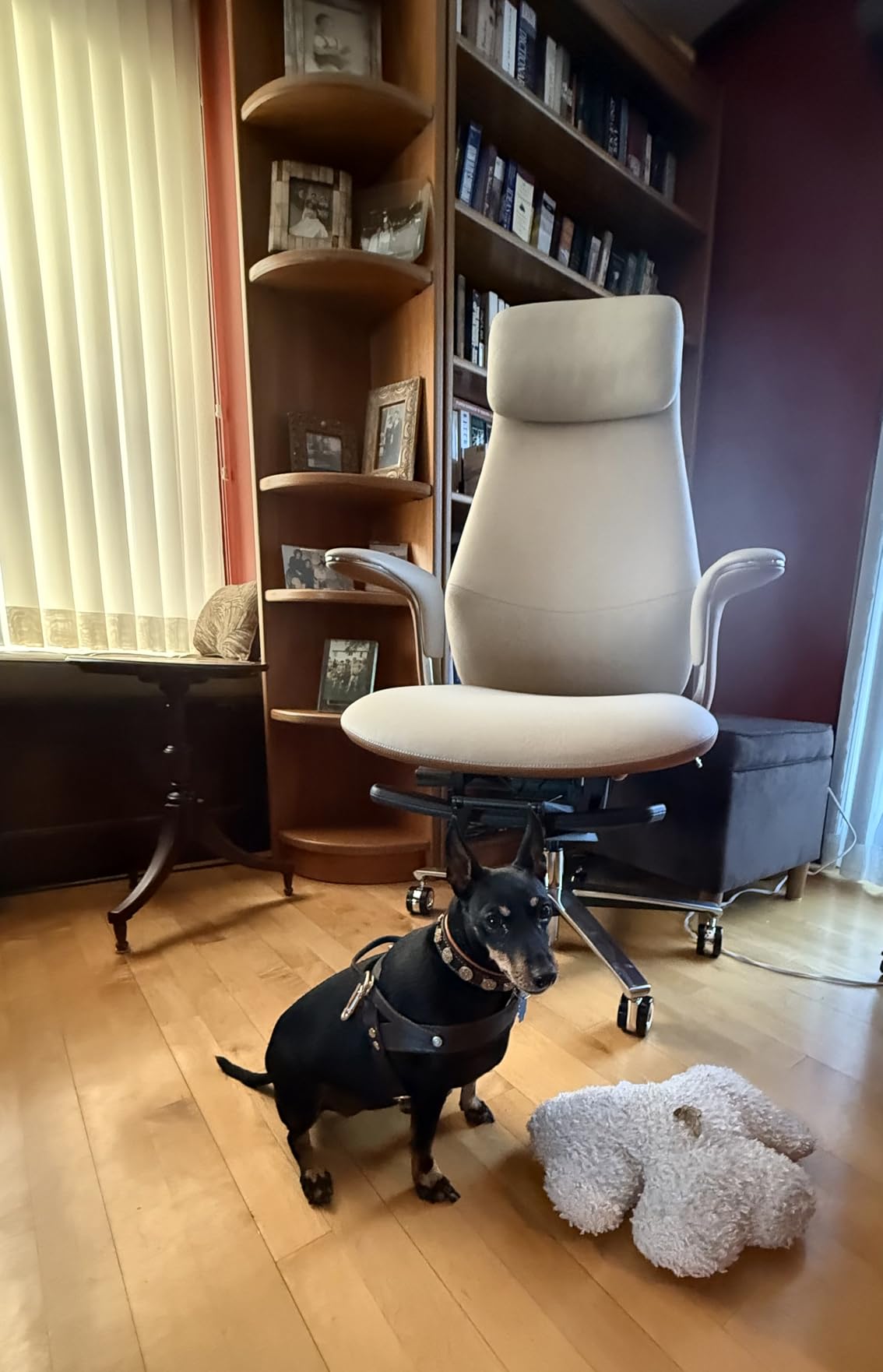 TOMU Executive Office Chair with Foot Rest, Top Grain Genuine Leather Office Chair, Ergonomic High Back Design. Real Leather, Wheels, Aluminum Base. Padded Armrest, Luxury and Comfy (Black) customer photo 1