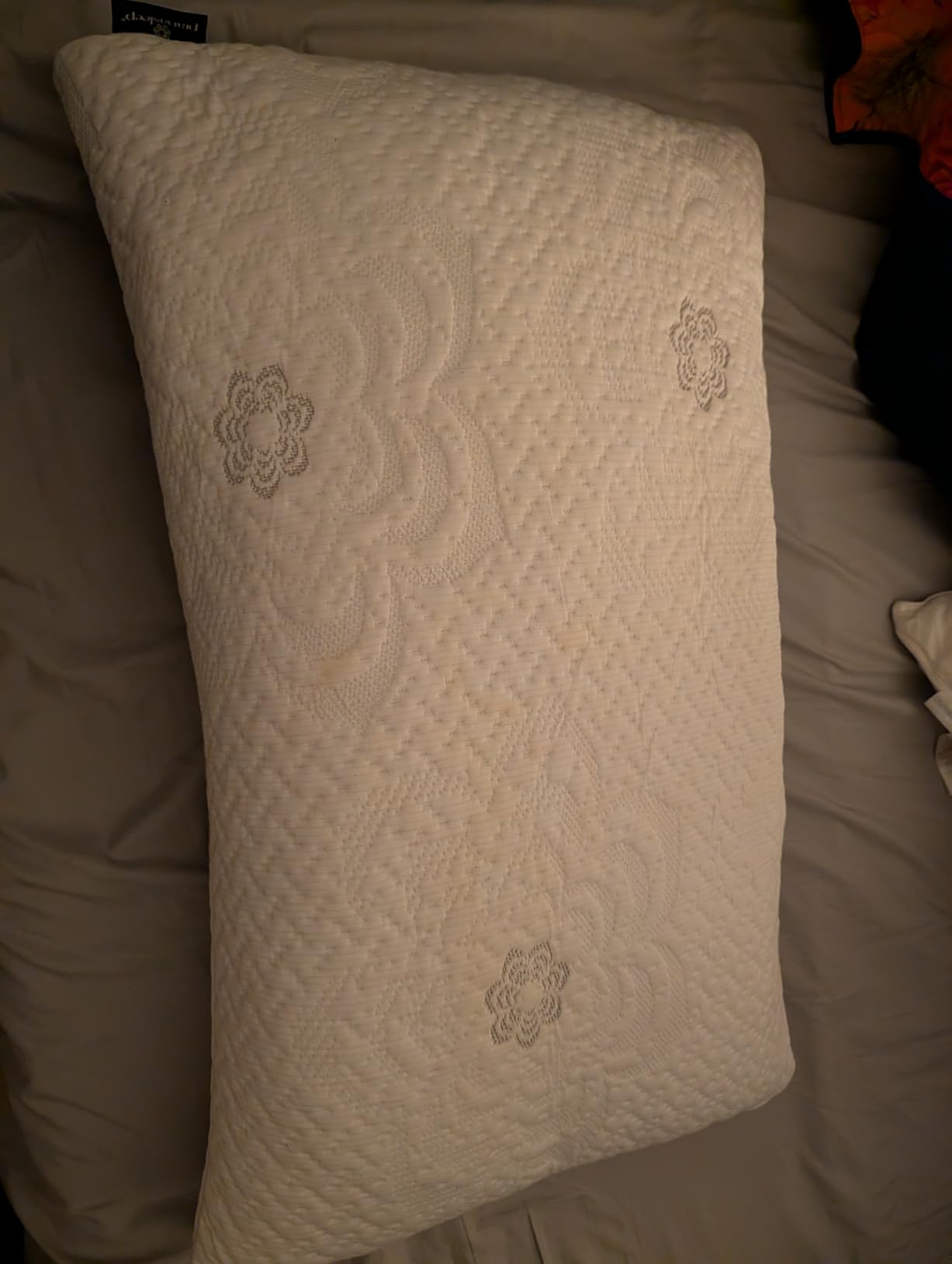 PranaSleep Dharma Adjustable Latex Pillow, Customizable Support, Side, Back and Stomach Sleeper Pillow, Queen Size, 30 L x 17 W x 6 H customer photo 1