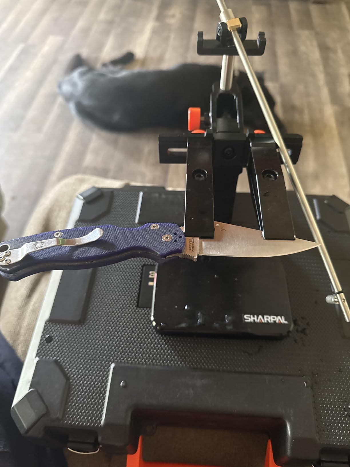 SHARPAL 202H Precision Knife Sharpening System - Adjustable Angle 10-35 Degrees Knife Sharpener Kit with 7 Abrasives (Diamond 220/325/600/1000, Whetstone 3000/6000, Leather Strop) customer photo 1