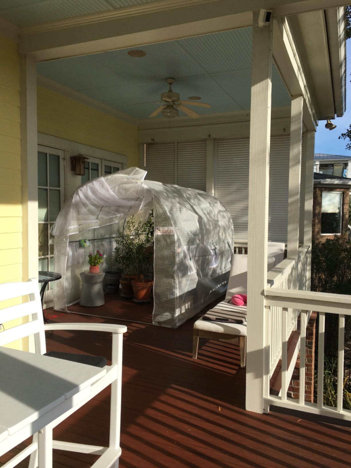 KING BIRD Premium 15x7x7FT Greenhouse for Outdoors, Walk-in Galvanized Steel Frame, Screen Mesh Door Window Plastic Cover, Upgraded Zipper Small Portable Tunnel Hoop House for Outside, White customer photo 2