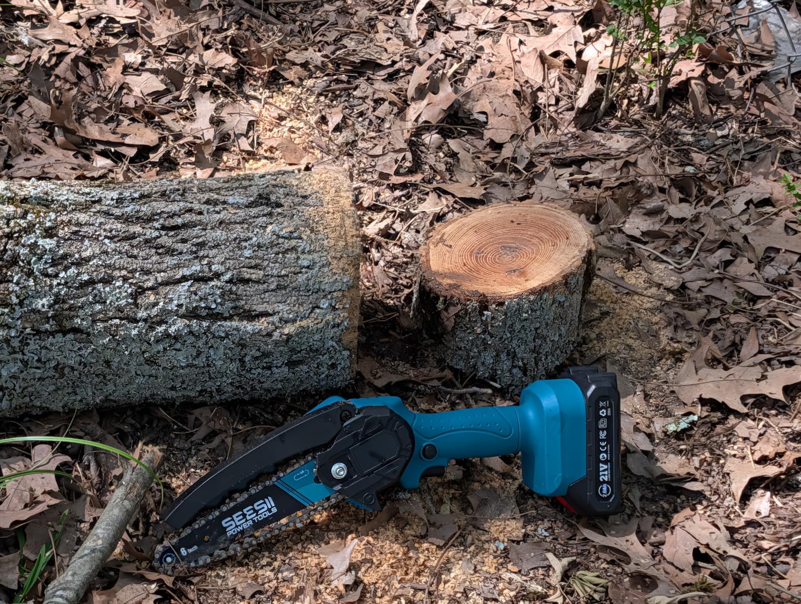 SEESII 2-in-1 Electric Pole Saws: Brushless Mini Chainsaw Cordless 6 Inch, 2 x 4000mAh Batteries, Pole Saw for Tree Trimming, Hand held Chain Saw with Extension Pole for Tree Limb Branch Cutter, P6 Ace customer photo 1
