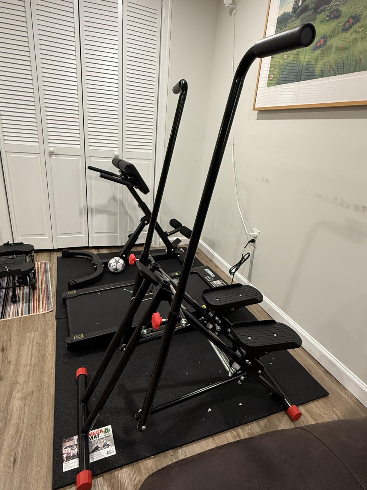 RELIFE REBUILD YOUR LIFE Stair Stepper for Home Exercise, New Version Stair Climber with Adjustable Resistance, Vertical Climber Cardio Exercise Machine for Full Body Workout, Extended Step Range customer photo 1