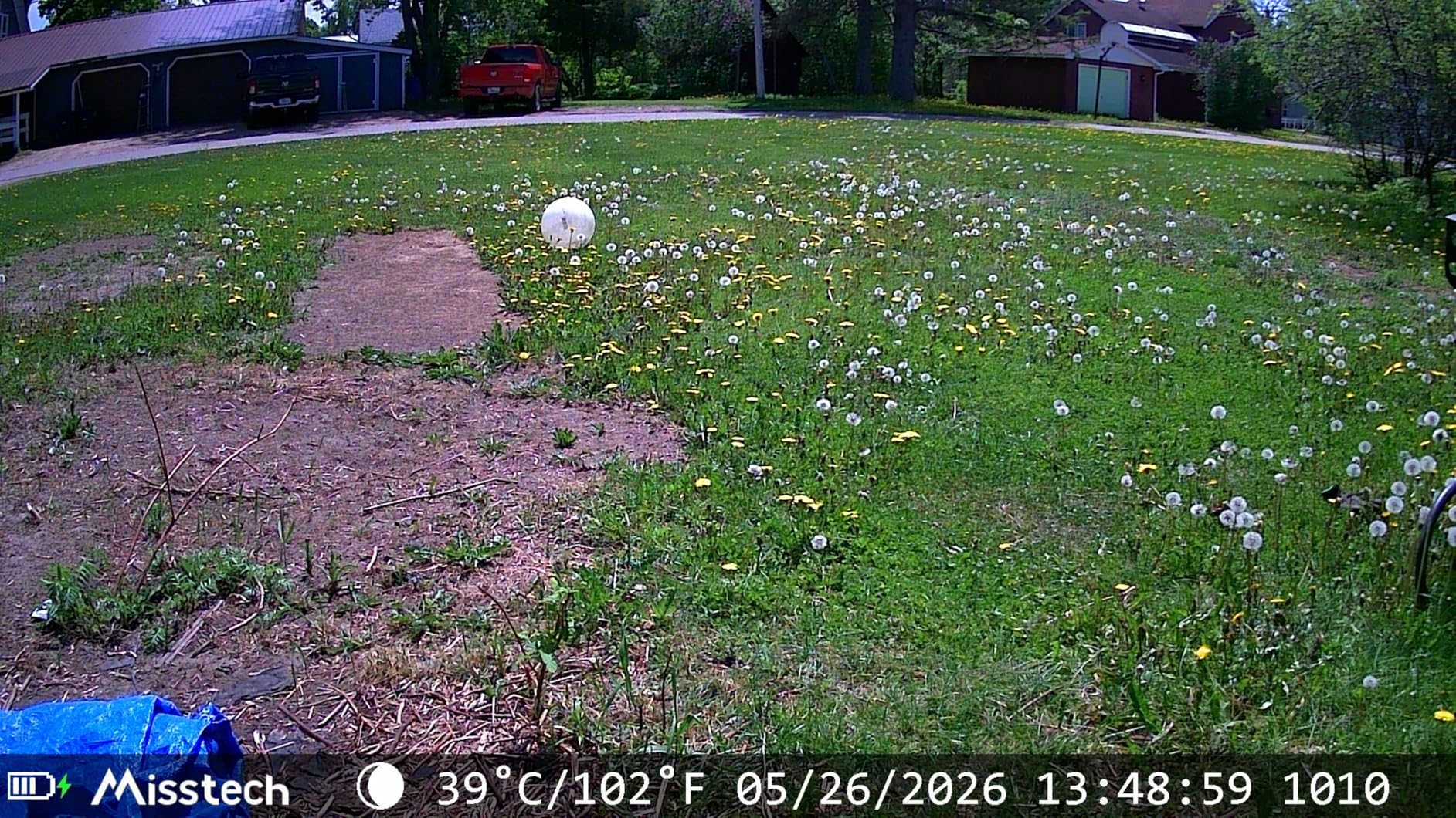 Misstech 4K UHD Solar Trail Camera, Outdoor Wildlife Cameras for Yard Monitoring, 0.1s Fast Motion-Activated to Record, 64MP/4K Clear Night Vision, No Monthly Fee, App Control, IP66, Local Storage customer photo 1