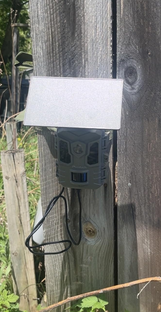 Misstech 4K UHD Solar Trail Camera, Outdoor Wildlife Cameras for Yard Monitoring, 0.1s Fast Motion-Activated to Record, 64MP/4K Clear Night Vision, No Monthly Fee, App Control, IP66, Local Storage customer photo 2