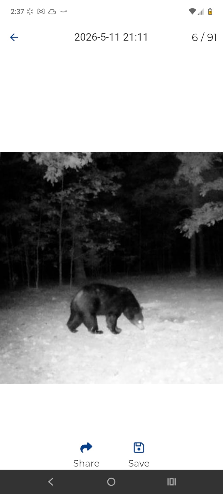 Zleo Cellular Trail Camera with Lifetime Unlimited Data, 4G LTE Solar Powered Game Cam with Lifetime Thumbnail Free, 0.5s Motion Trigger, Pan and Tilt, Dual Night Vision, Remote APP Control, IP65 customer photo 1