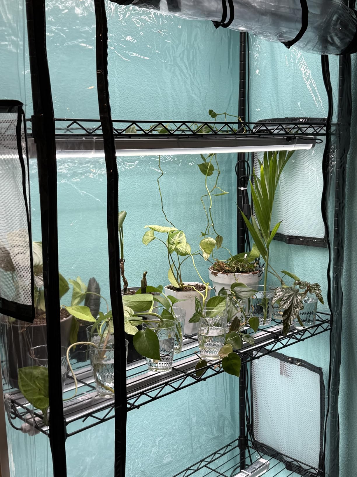 JESLED Indoor Greenhouse with Grow Light, 3FT Full Spectrum 5000K LED Light for Seed Starting, Tiered Lighting Control, Built-in Timer & Thermo-Hygrometer, Rolling Metal Plant Stand (35.4x13.8x59IN) customer photo 1