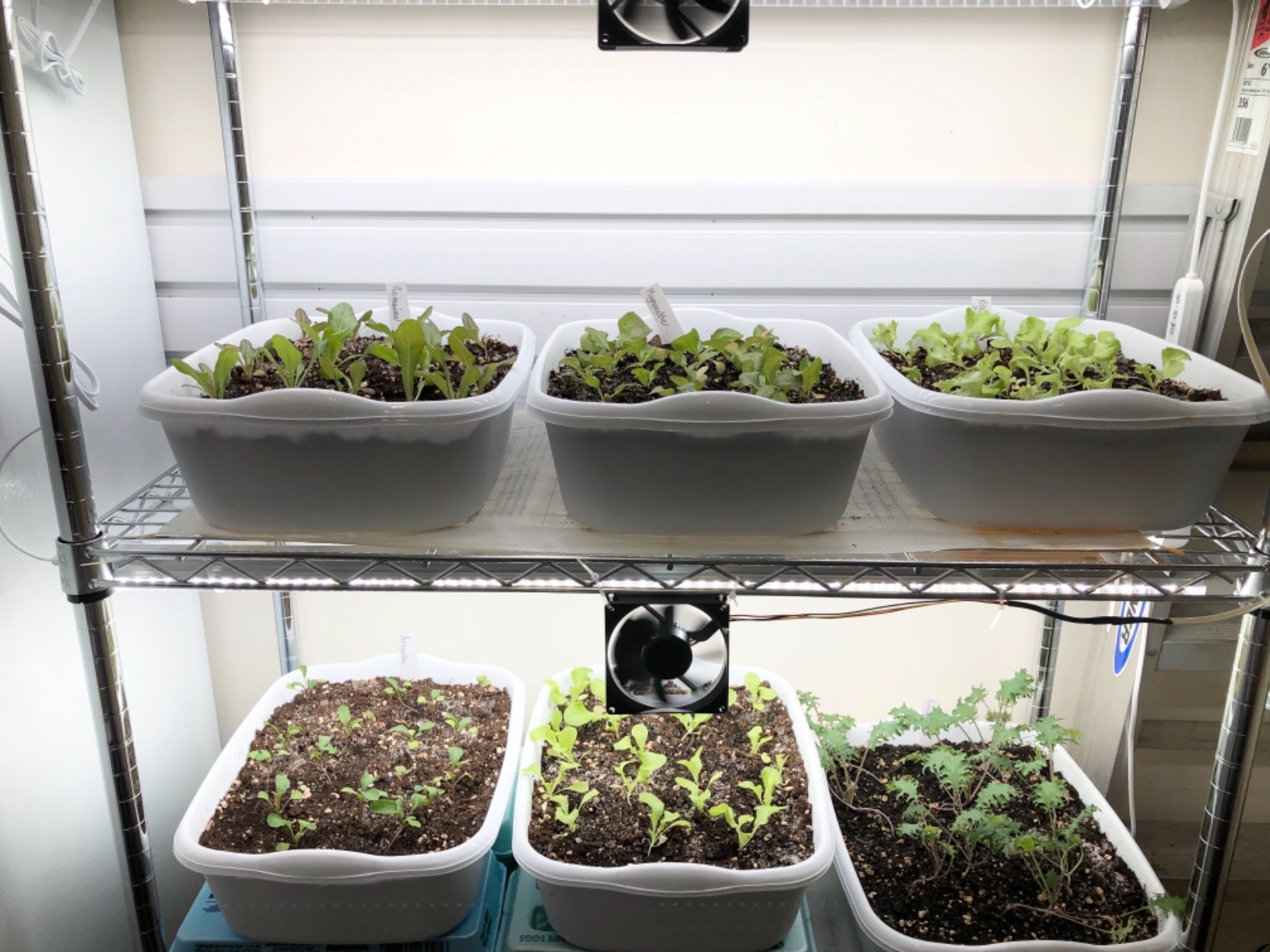 JESLED Indoor Greenhouse with Grow Light, 3FT Full Spectrum 5000K LED Light for Seed Starting, Tiered Lighting Control, Built-in Timer & Thermo-Hygrometer, Rolling Metal Plant Stand (35.4x13.8x59IN) customer photo 2