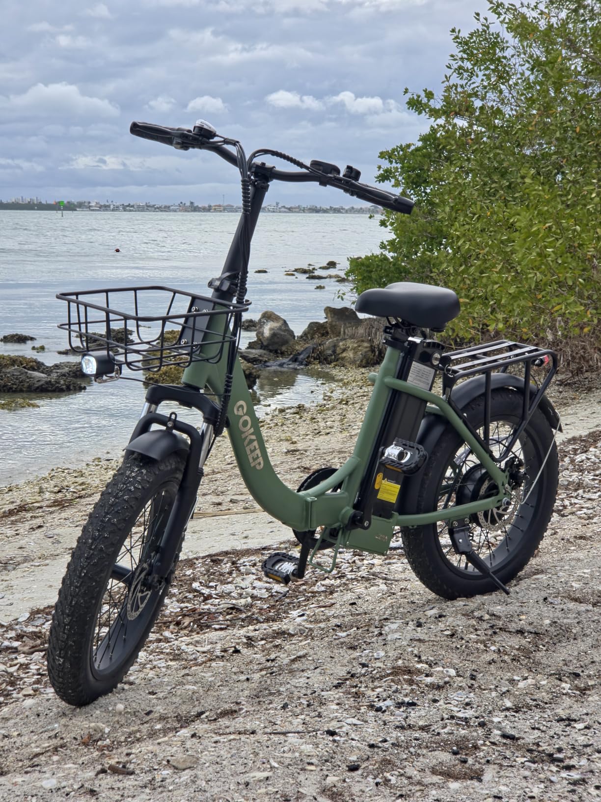Electric Bike for Adults, Peak 1800W Motor, 86 Miles PAS Range, 52V 18.2Ah Removable Lithium Battery, Foldable Electric Bicycle, 20MPH 7-Speed Commuter Ebike, Max 330LBS, UL2849 Certified customer photo 1