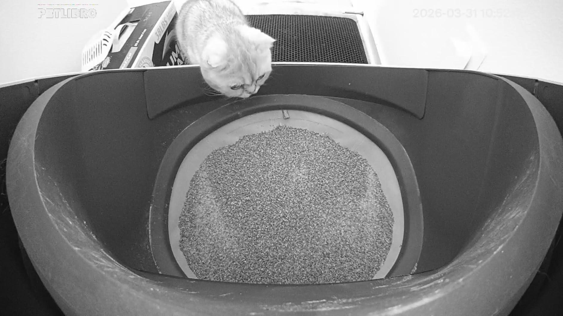 PETLIBRO Automatic Litter Box with AI-Camera Waste Analysis, Auto Odor-Control Self Cleaning Litter Box, Large Open-Top Luma Smart Litterbox with Multi-Cats Recognition, Usage Tracking, Safety Sensors customer photo 2