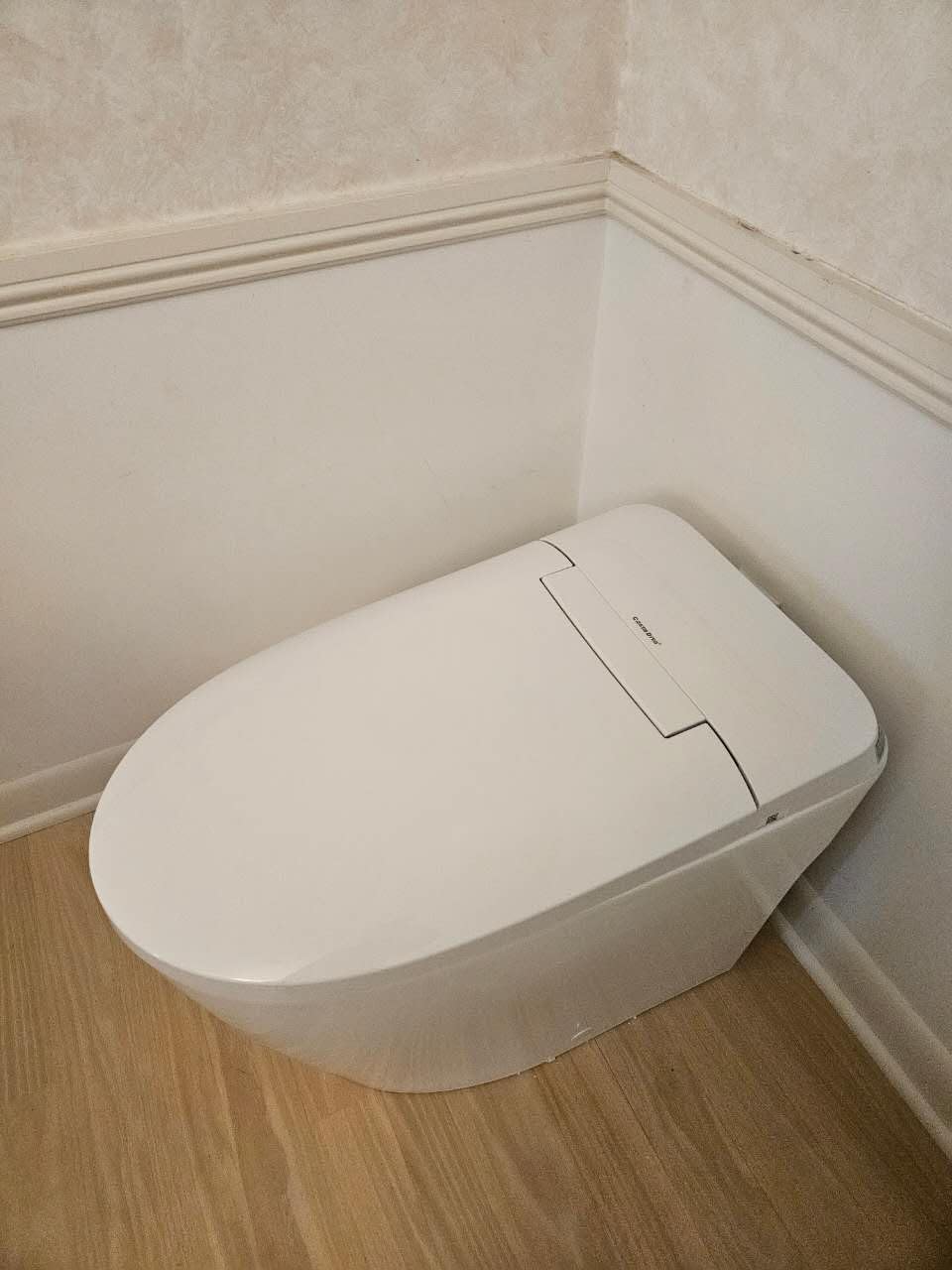 Casta Diva Elongated One Piece Toilet with 17.2