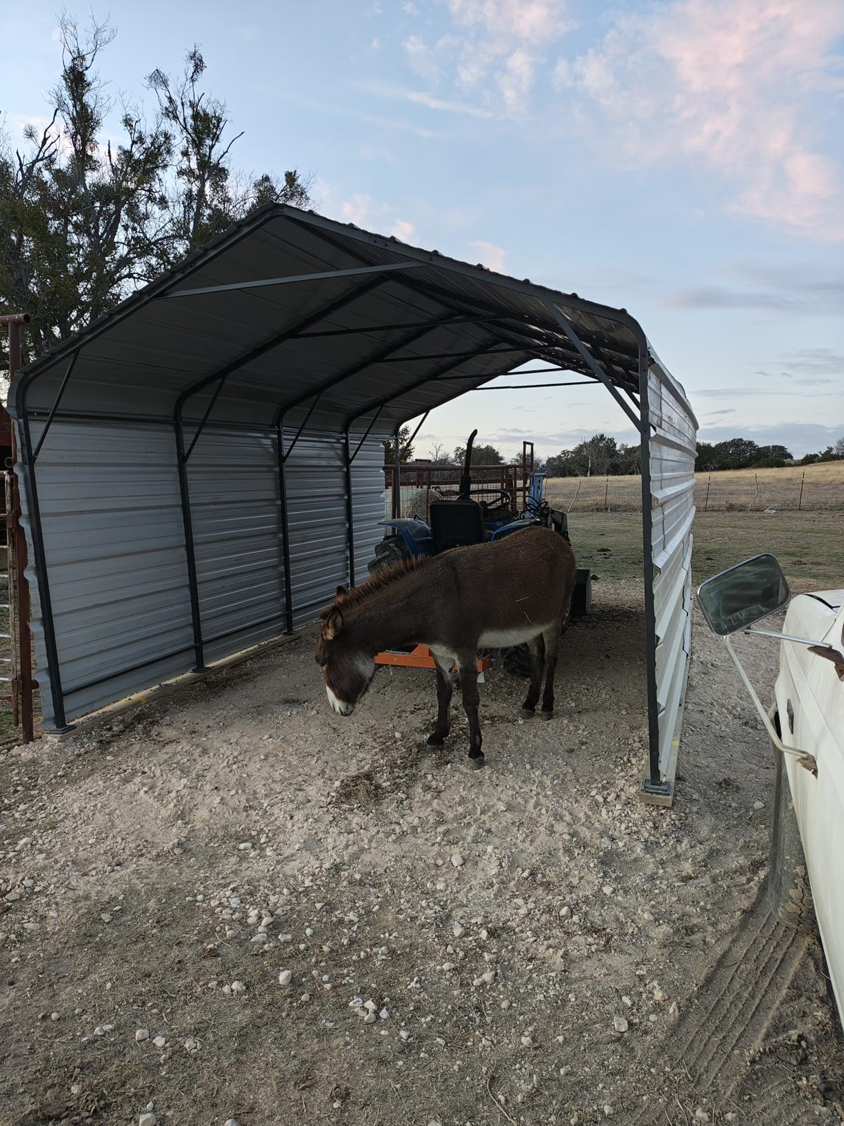 20x20 FT Metal Carport with Updated Roof & Enhanced Base, Heavy Duty Canopy Carport Garage, Vertaile for Car, Truck, Boat, Tractors, Party, Grey customer photo 1