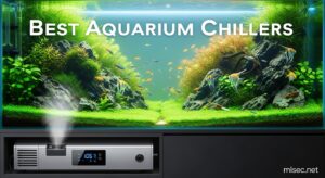 Best Aquarium Chillers