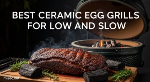 Best Ceramic Egg Grills for Low and Slow