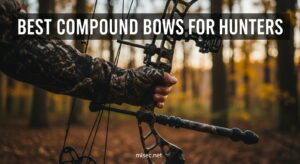 Best Compound Bows for Hunters