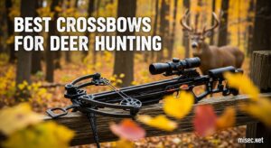 Best Crossbows for Deer Hunting