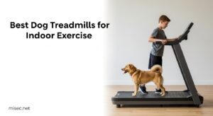 Best Dog Treadmills for Indoor Exercise