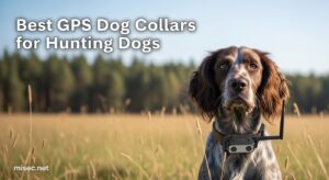 Best GPS Dog Collars for Hunting Dogs