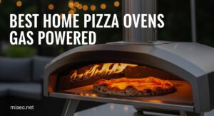 Best Home Pizza Ovens Gas Powered