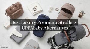 Best Luxury Premium Strollers UPPAbaby Alternatives