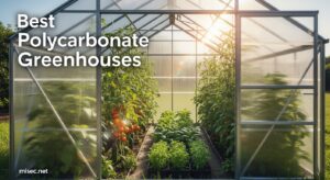 Best Polycarbonate Greenhouses