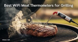 Best WiFi Meat Thermometers for Grilling