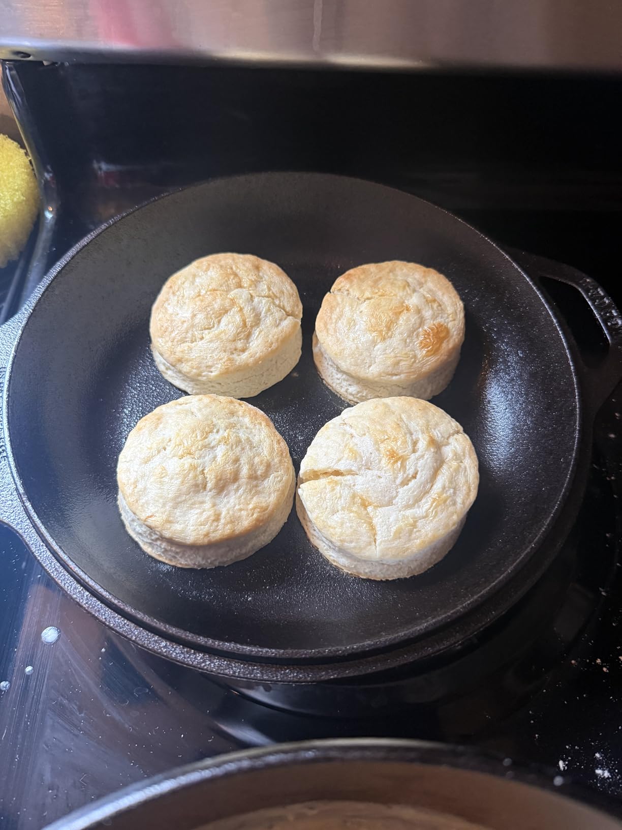 Lodge Cast Iron Double Dutch Oven, 5 Quart customer photo 2