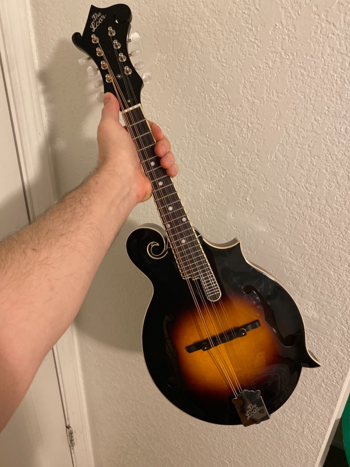 The Loar LM-520-VS Performer F-Style Mandolin customer photo 1