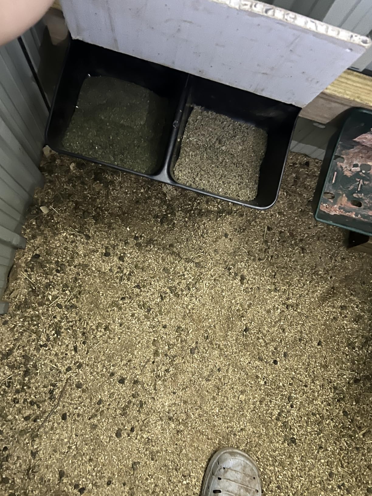 Dual Mineral Feeder customer photo 1