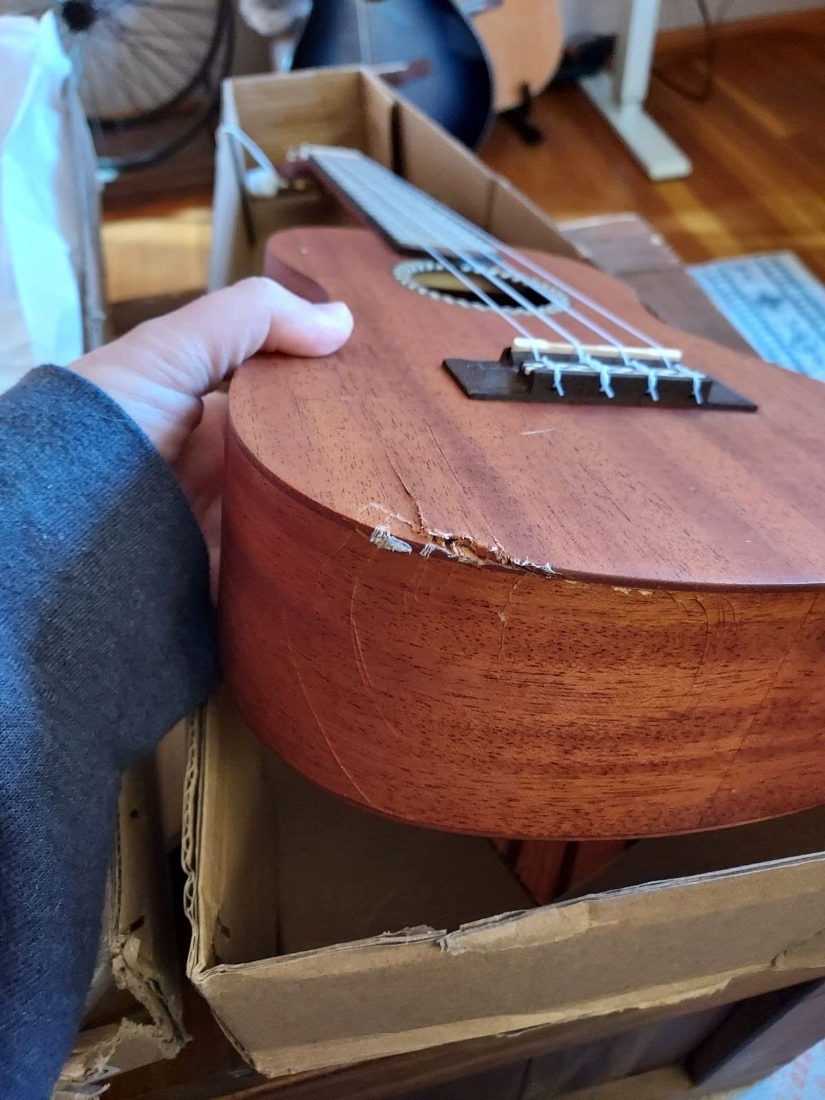 Cordoba 20CM Concert Ukelele customer photo 1