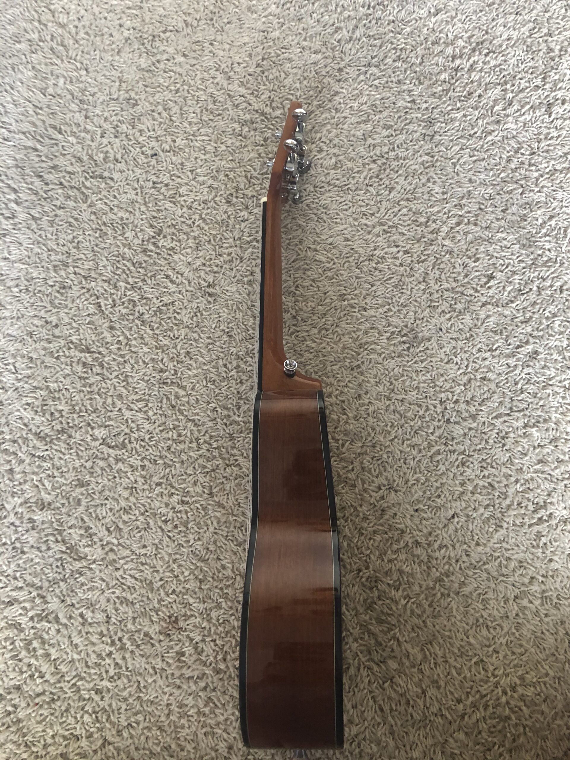 Kala KA-SCG Solid Spruce Top Gloss Concert Ukulele, Natural customer photo 1