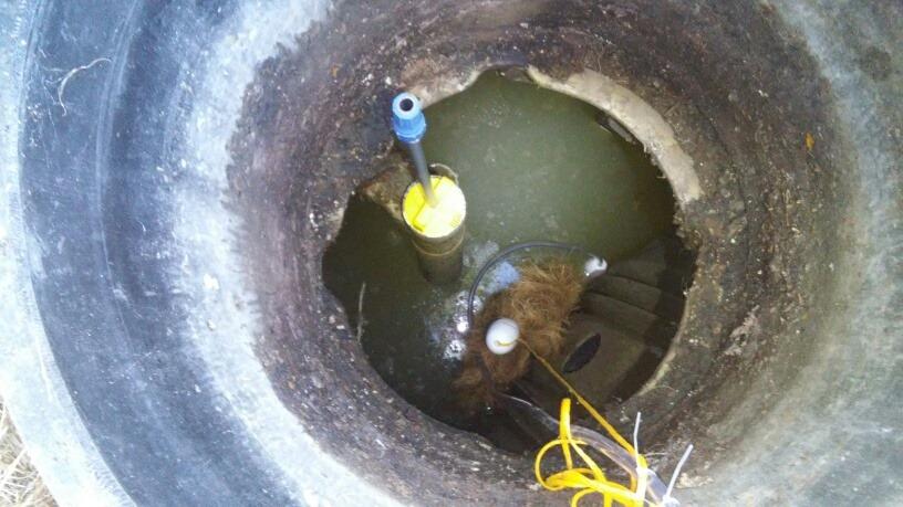 Tuf-Tite EF-4 Residential Series Effluent Filter (Filter Only), Yellow customer photo 1