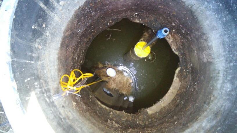 Tuf-Tite EF-4 Residential Series Effluent Filter (Filter Only), Yellow customer photo 2