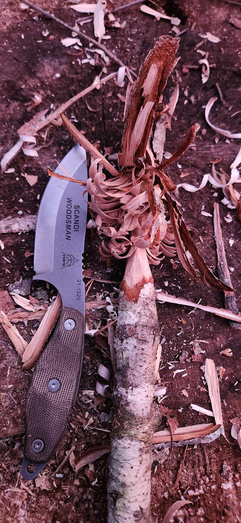 Tops Scandi Woodsman Bushcraft Survival Knife SWOOD-3.5 customer photo 2