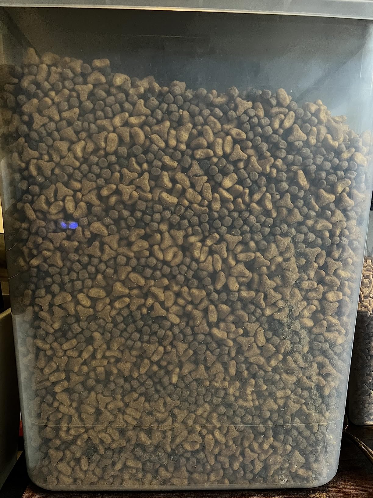 Blue Buffalo Wilderness with Salmon Natural High-Protein Grain-Free Dry Food for Adult Cats, Real Salmon First, 5 lbs. customer photo 1