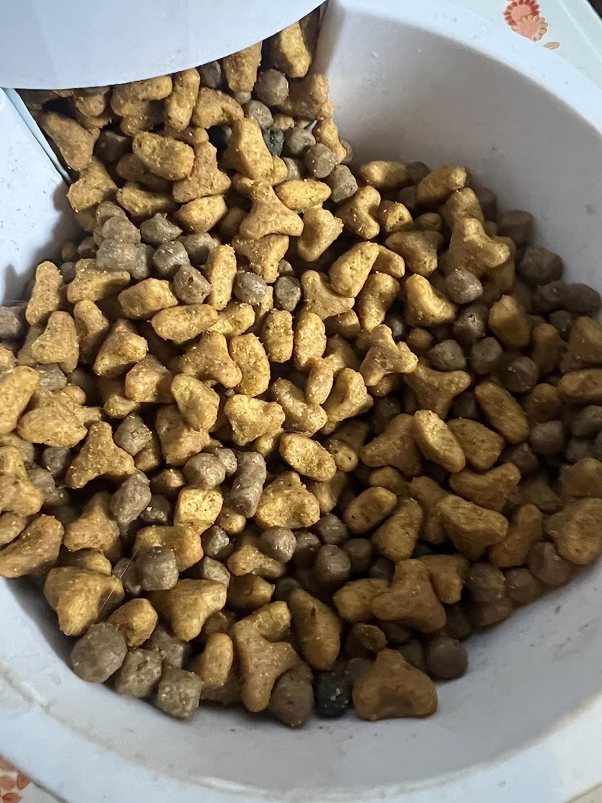 Blue Buffalo Wilderness with Salmon Natural High-Protein Grain-Free Dry Food for Adult Cats, Real Salmon First, 5 lbs. customer photo 2