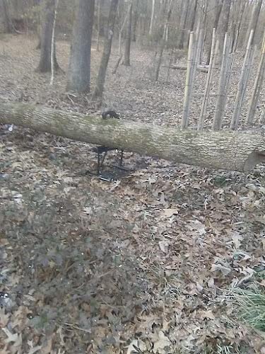 Timber Tuff TMB-75ATJ Deluxe Timberjack, Black, 51 x 18.5 x 10 inches customer photo 1