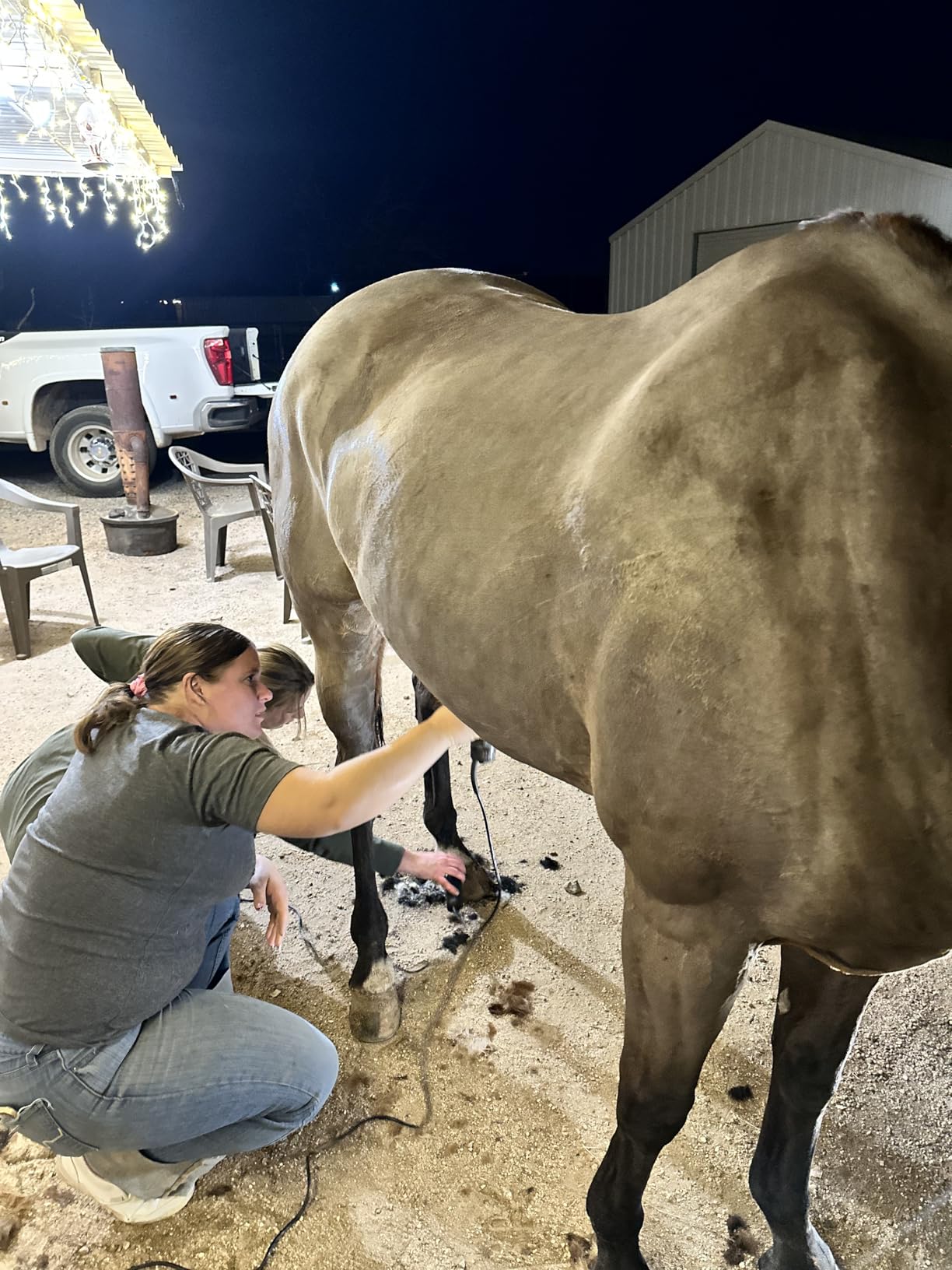 TAKEKIT Horse Clippers, 600W Professional Heavy Duty Horse Body Clippers, 6-Speeds Large Livestock Clippers for Body Clipping Horse Equine Cattle and Thick Coat Animals customer photo 2