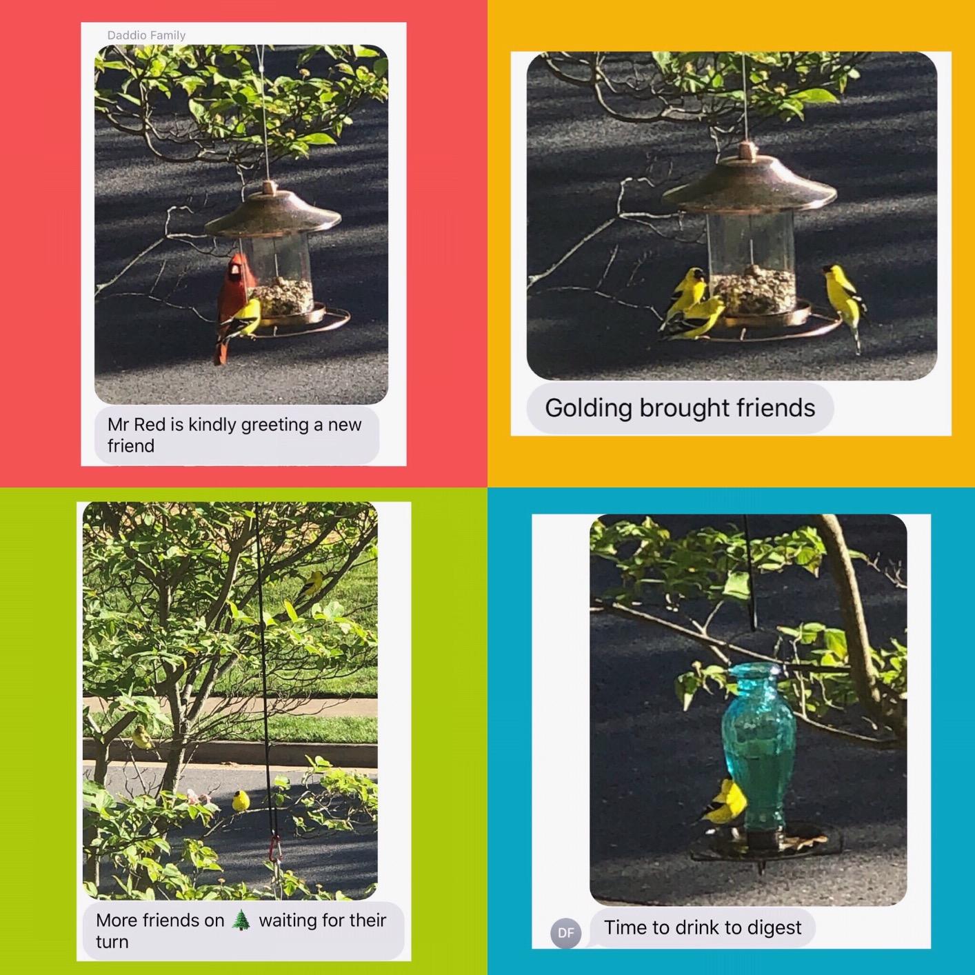 Perky-Pet 325C 2-Tier Copper Panorama Bird Feeder customer photo 1