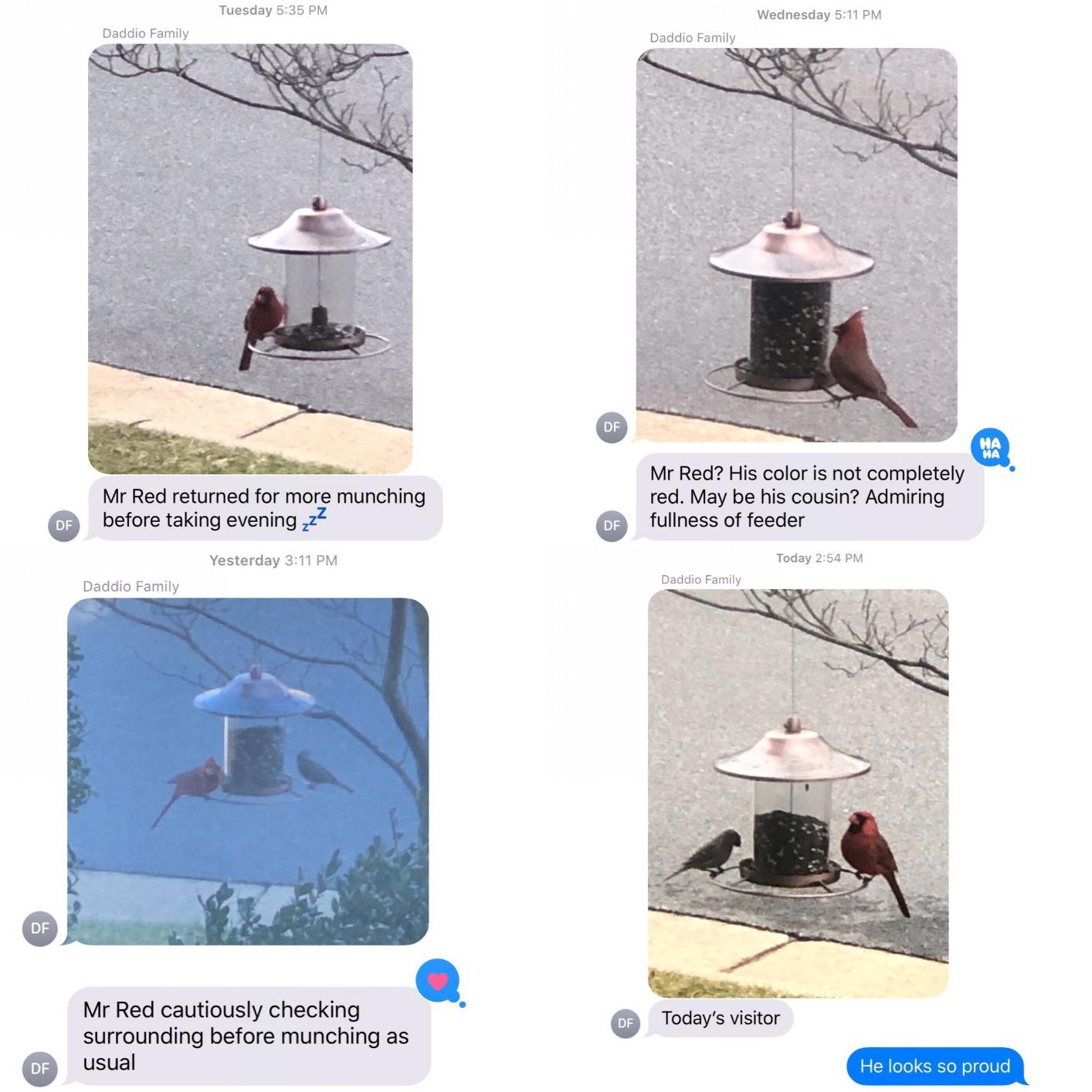 Perky-Pet 325C 2-Tier Copper Panorama Bird Feeder customer photo 2