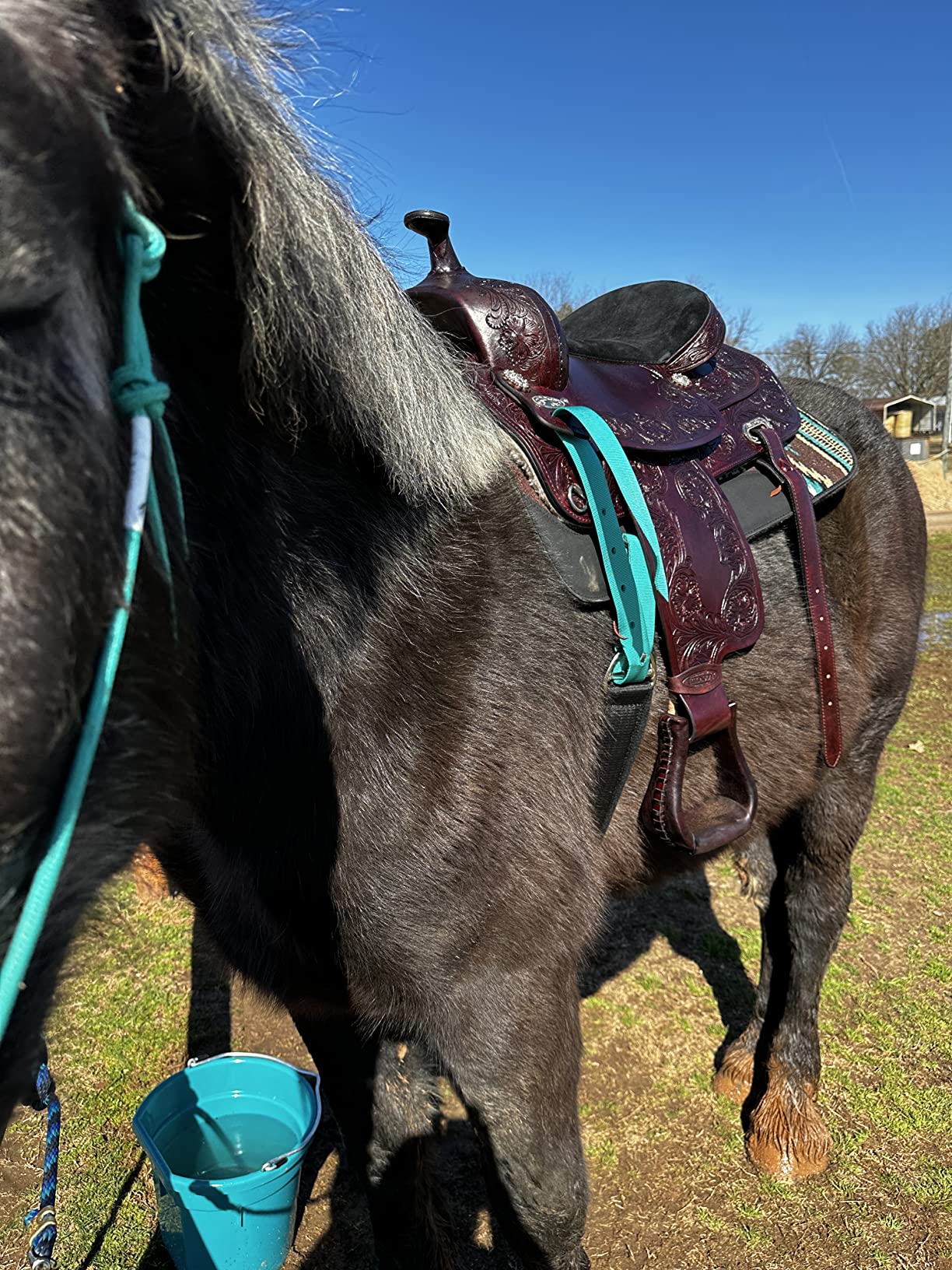 HILASON Western Draft Horse Trail Pleasure American Leather Saddle | for Horses customer photo 1