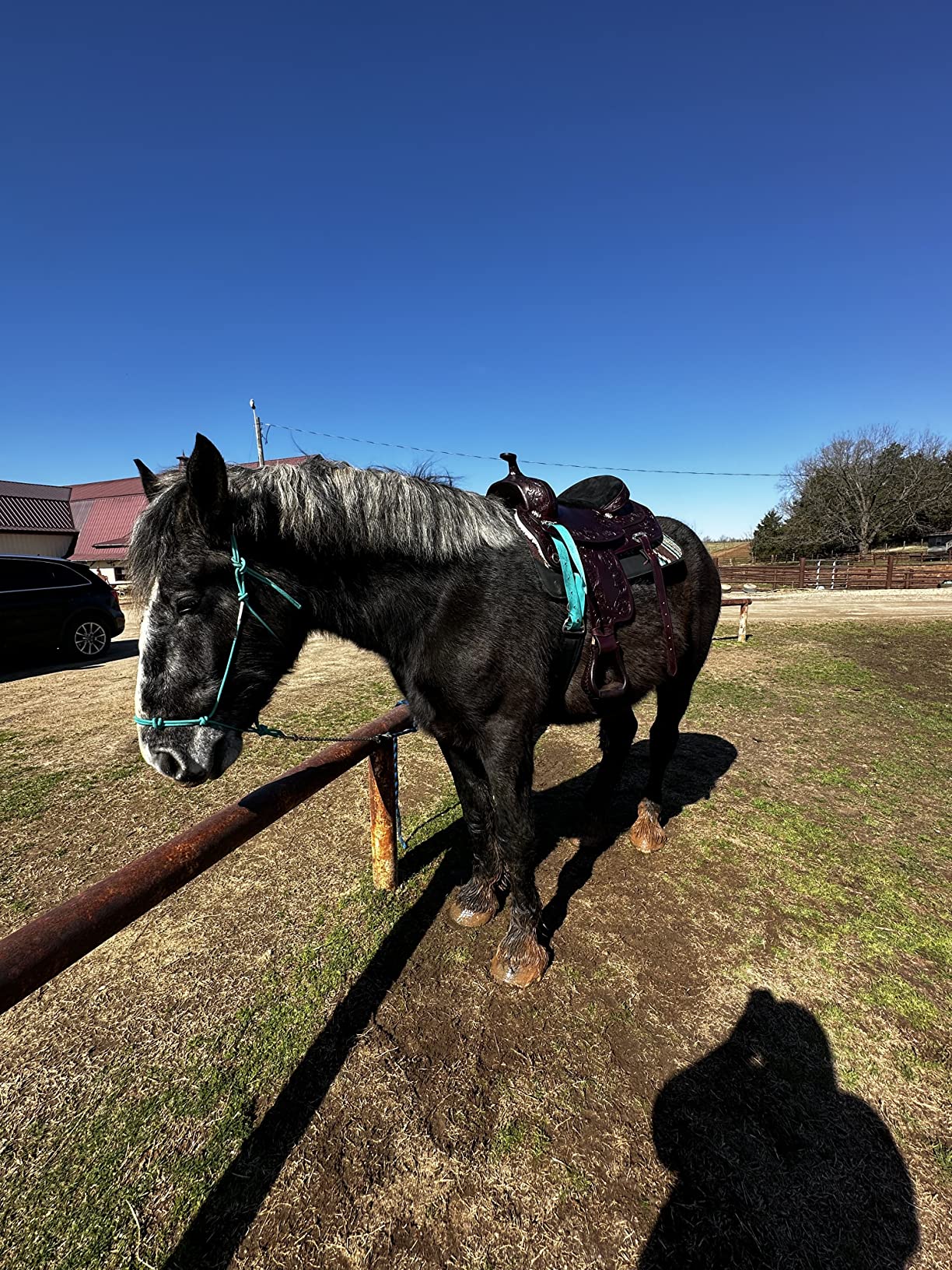 HILASON Western Draft Horse Trail Pleasure American Leather Saddle | for Horses customer photo 2